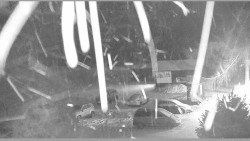 Parkoviště běžecký areál