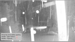 Parkoviště běžecký areál