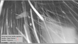 Parkoviště běžecký areál