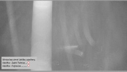 Parkoviště běžecký areál