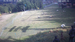 Sjezdovka