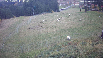 Snímek    25.10.2025 v 14:15