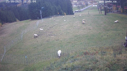 Sjezdovka