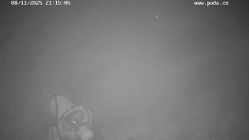 Snímek 8.11.2025 v 21:15