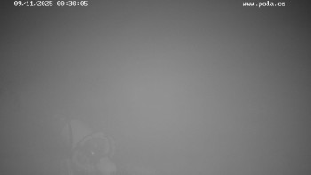 Snímek 9.11.2025 v 00:30