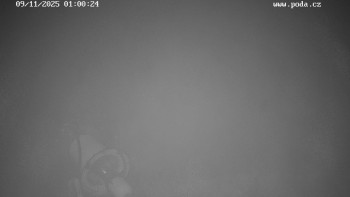 Snímek 9.11.2025 v 01:00