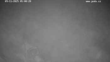 Snímek 9.11.2025 v 05:00