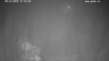 Snímek 9.11.2025 v 17:15