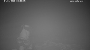 Ski snowpark Harusův kopec - Harusák - Sjezdovka - 14.1.2026 v 00:00 Ski snowpark Harusův kopec - Harusák - Sjezdovka - 14.1.2026 v 00:00