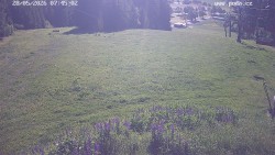 Sjezdovka