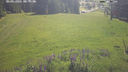 Sjezdovka