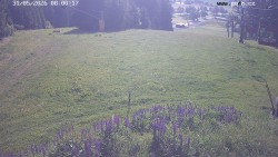 Sjezdovka