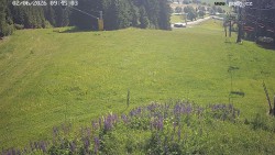 Sjezdovka