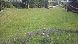 Sjezdovka
