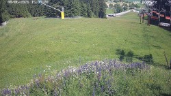 Sjezdovka