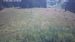 Sjezdovka