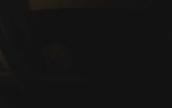 Snímek    3.11.2025 v 06:15