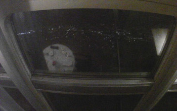 Snímek    3.11.2025 v 17:30