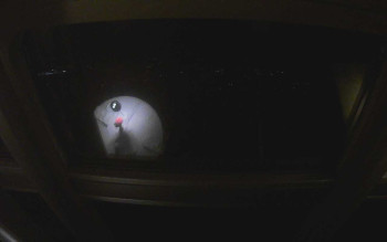 Snímek    3.11.2025 v 19:45