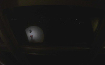 Snímek    3.11.2025 v 21:45