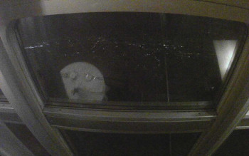 Snímek 4.11.2025 v 17:45