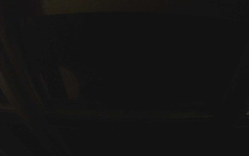 Snímek 8.11.2025 v 22:30