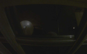 Ještěd - Ještěd, Liberec - 15.1.2026 v 05:30 Ještěd - Ještěd, Liberec - 15.1.2026 v 05:30