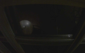 Ještěd - Ještěd, Liberec - 15.1.2026 v 05:45 Ještěd - Ještěd, Liberec - 15.1.2026 v 05:45