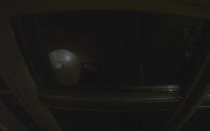 Ještěd - Ještěd, Liberec - 15.1.2026 v 06:15 Ještěd - Ještěd, Liberec - 15.1.2026 v 06:15