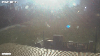 Snímek 6.11.2025 v 12:31