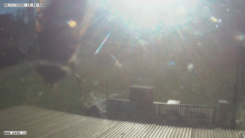 Snímek 6.11.2025 v 13:01