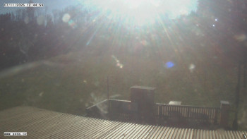 Snímek 7.11.2025 v 12:45