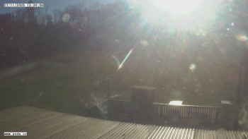 Snímek 7.11.2025 v 13:31