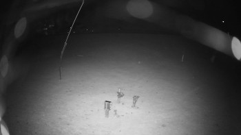 Snímek    20.10.2025 v 22:00