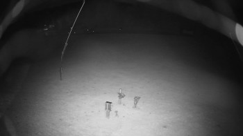 Snímek    23.10.2025 v 05:55