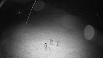 Snímek    25.10.2025 v 00:05