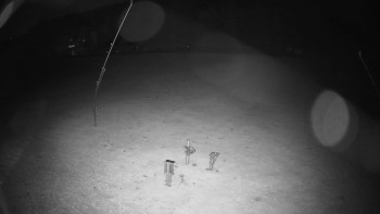 Snímek    25.10.2025 v 00:20