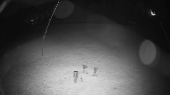 Snímek    25.10.2025 v 01:00
