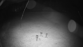 Snímek    25.10.2025 v 01:40