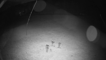 Snímek    25.10.2025 v 02:40