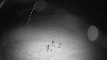 Snímek    25.10.2025 v 03:50