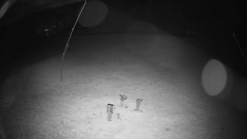 Snímek    25.10.2025 v 04:00