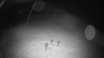 Snímek    25.10.2025 v 04:45