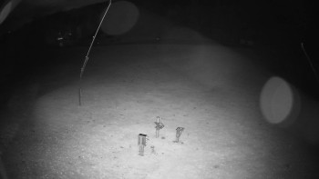 Snímek    25.10.2025 v 05:25