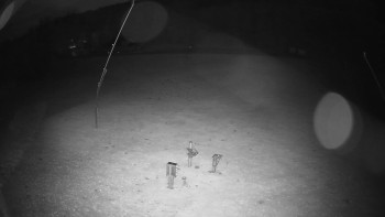 Snímek    25.10.2025 v 06:20