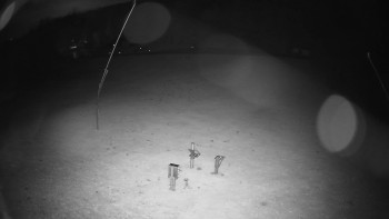 Snímek    25.10.2025 v 19:15
