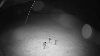 Snímek    25.10.2025 v 20:10