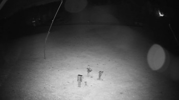Snímek    25.10.2025 v 21:15