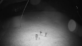 Snímek    25.10.2025 v 22:30