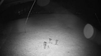 Snímek    25.10.2025 v 23:50